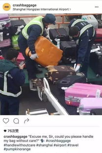 暴力托運,你不是怕箱子托運被摔嗎